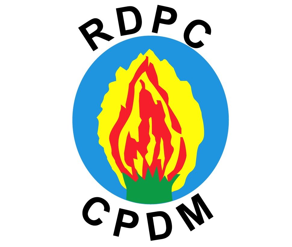 COVID-19 Cripples CPDM Party’s 35th Anniversary in Cameroon - TimesNews2